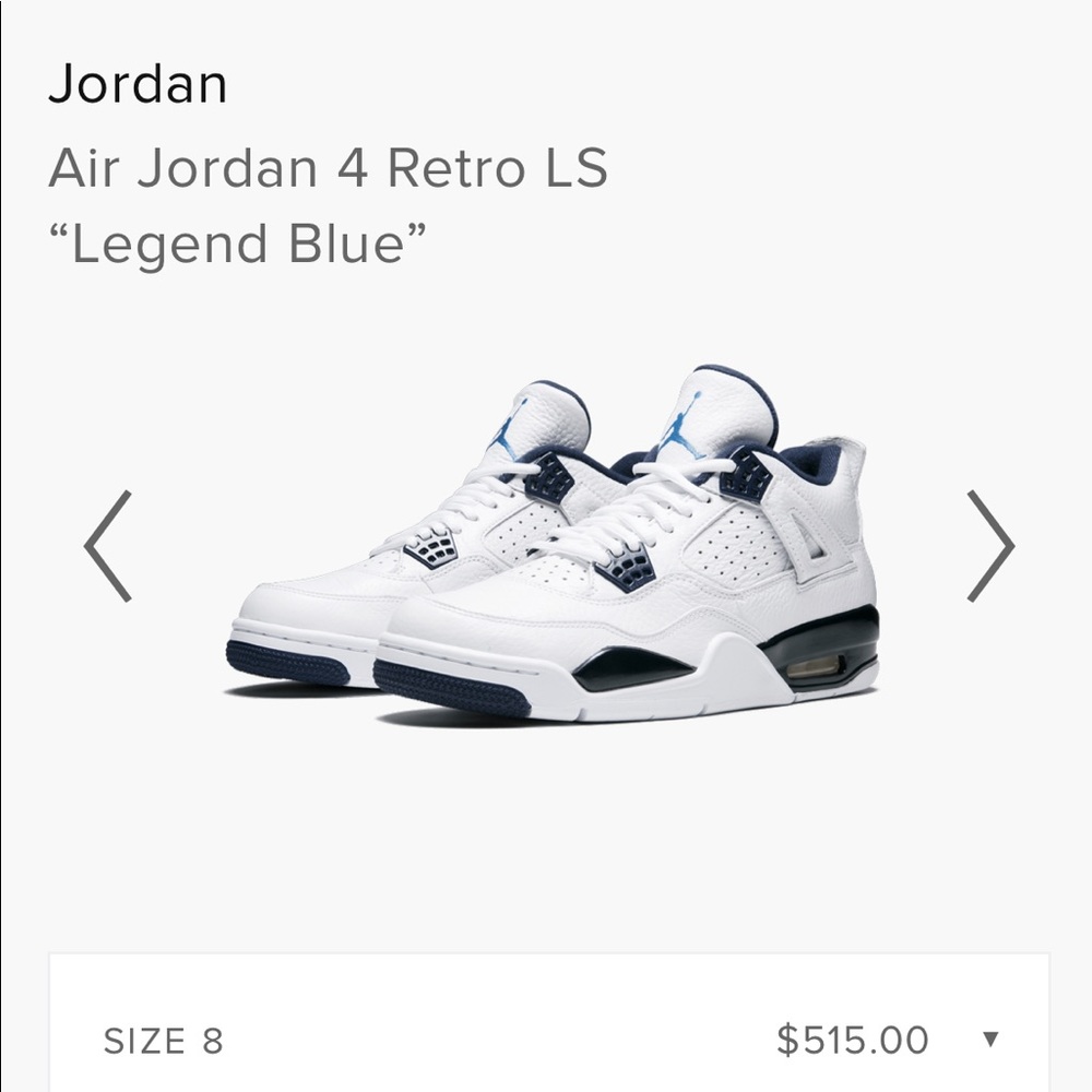 Air Jordan 4 Retro LS